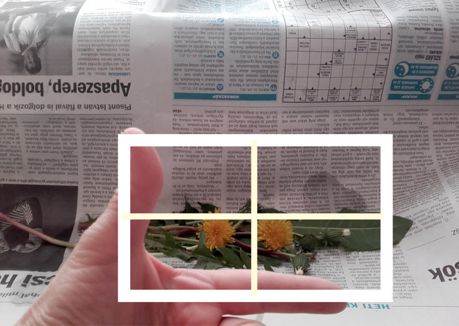 blog-festéskezdo2