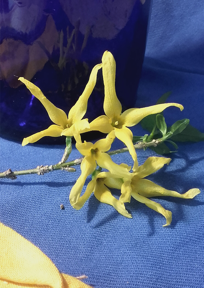 blog-napifestmeny12
