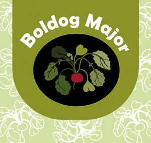 Boldog major