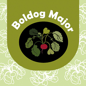 Boldog major